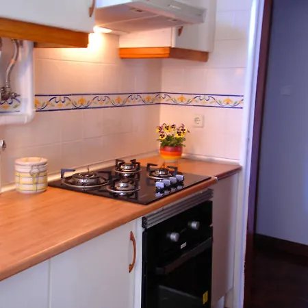 公寓 埃斯托利尔海滩公寓 *